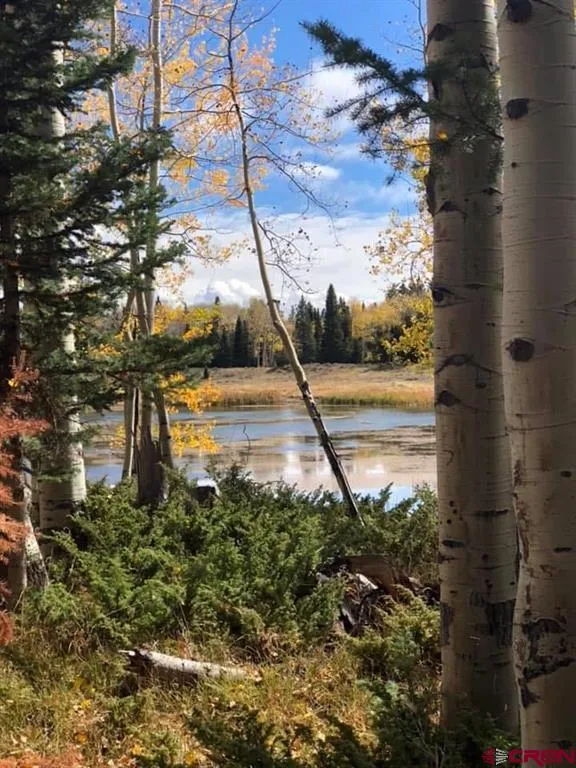282 Aspen Trail Cimarron, CO 81220