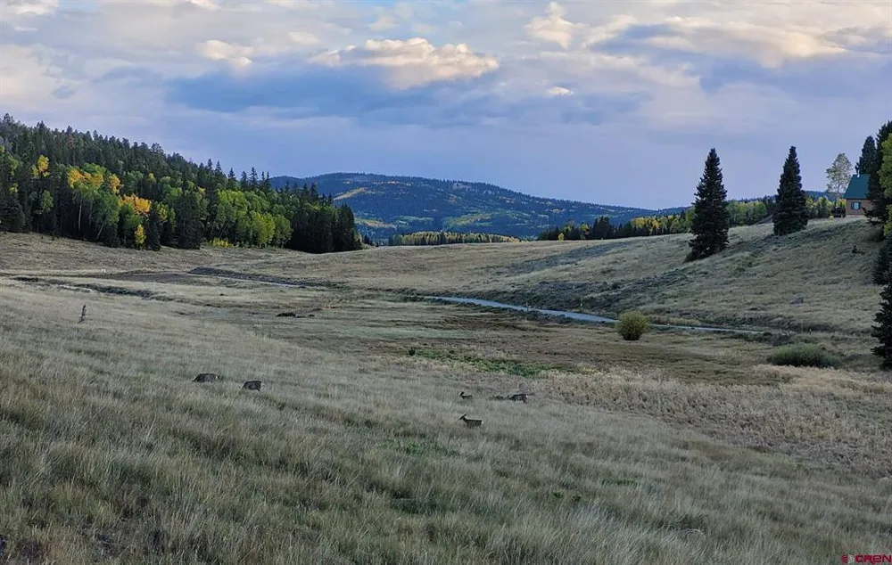 282 Aspen Trail Cimarron, CO 81220