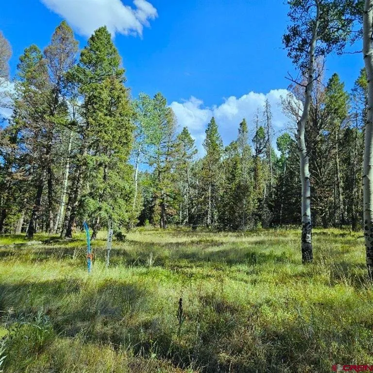282 Aspen Trail Cimarron, CO 81220