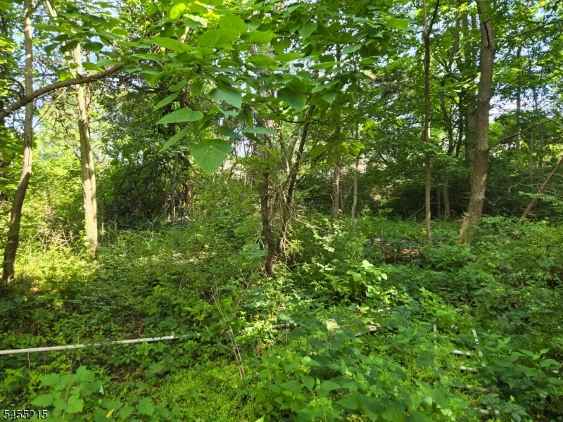 2 Hewlett Rd Montville, NJ 07082