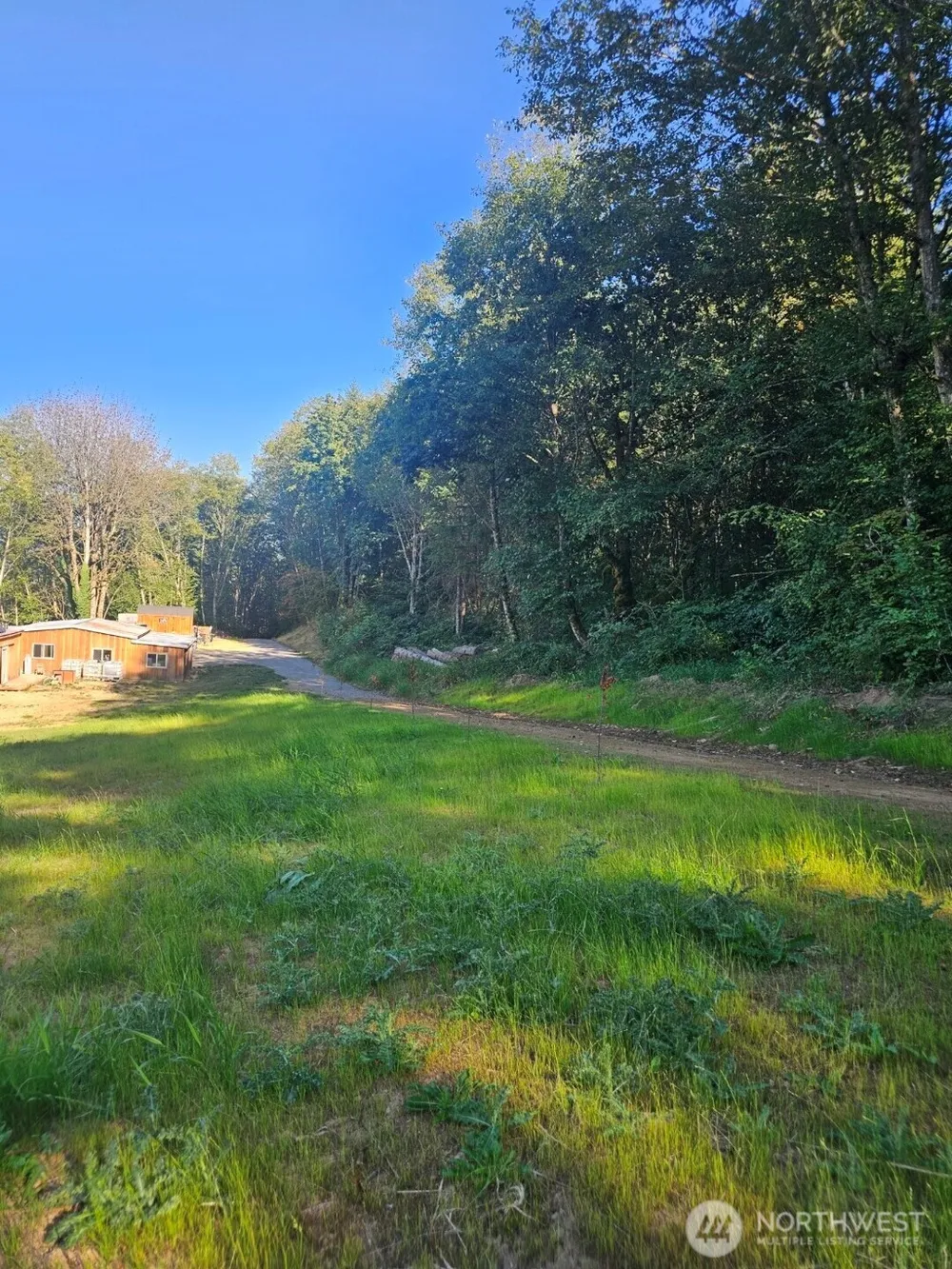 218 Bowen Road #84 Mossyrock, WA 98564