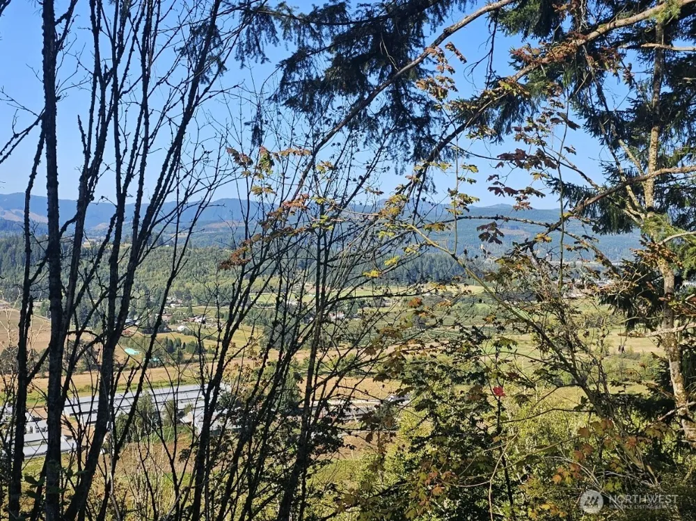 218 Bowen Road #84 Mossyrock, WA 98564