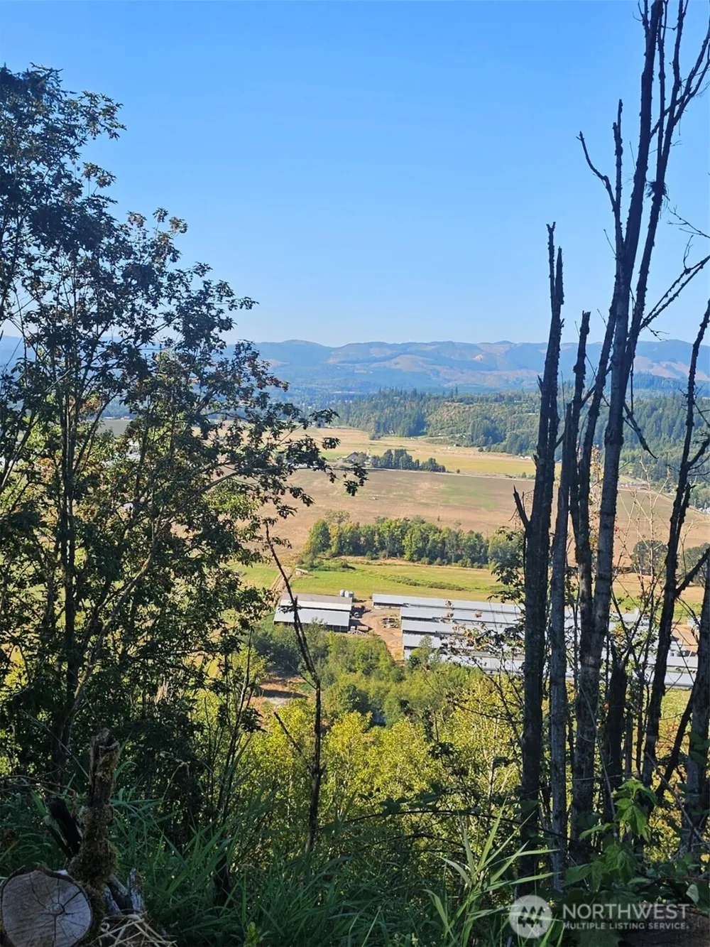 218 Bowen Road #84 Mossyrock, WA 98564