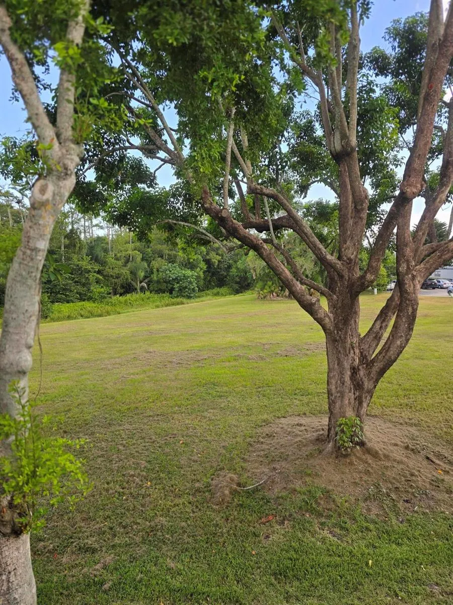 667 Saxony N Delray Beach, FL 33446