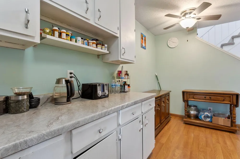 142 Canabury Court Little Canada, MN 55117