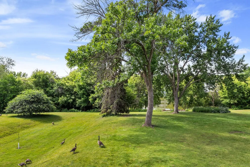 142 Canabury Court Little Canada, MN 55117