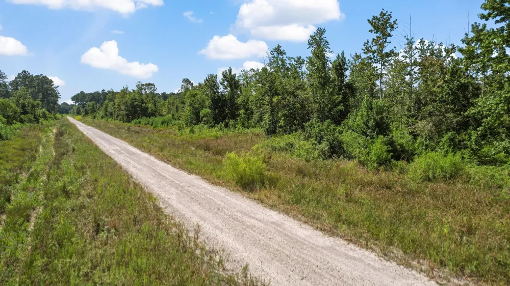 County Road 2235 Cleveland, TX 77327