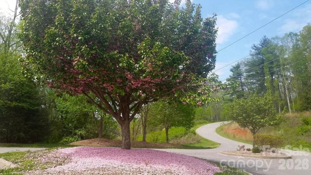 178 Waightstill Drive #22 Arden, NC 28704