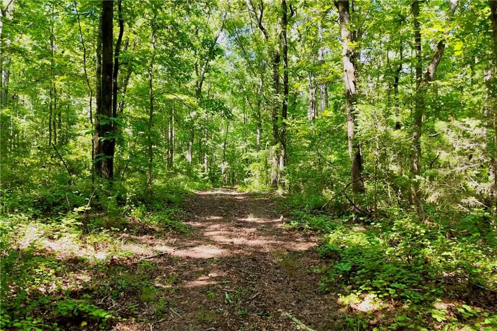 3180 Highway 229 Mansfield, GA 30055