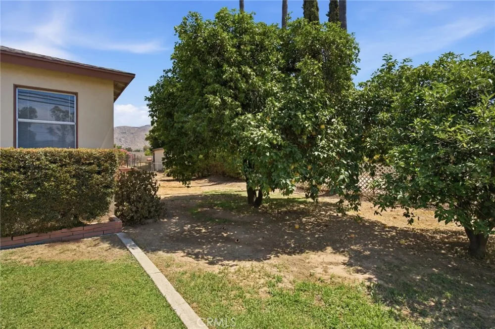 12251 Michigan Grand Terrace, CA 92313