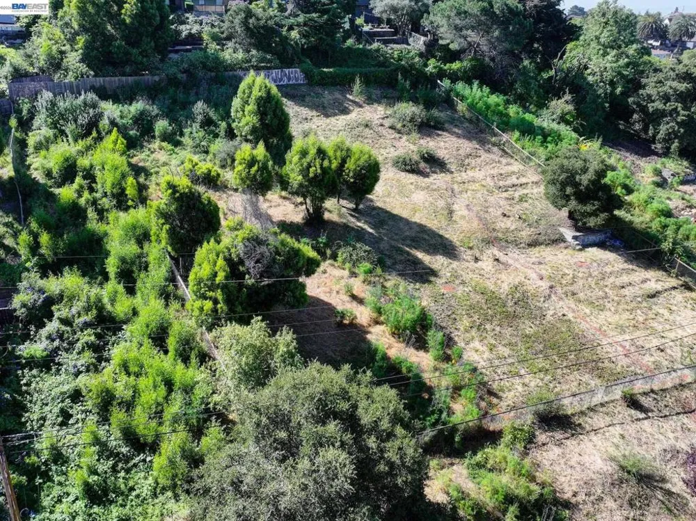3144 Courtland Oakland, CA 94619