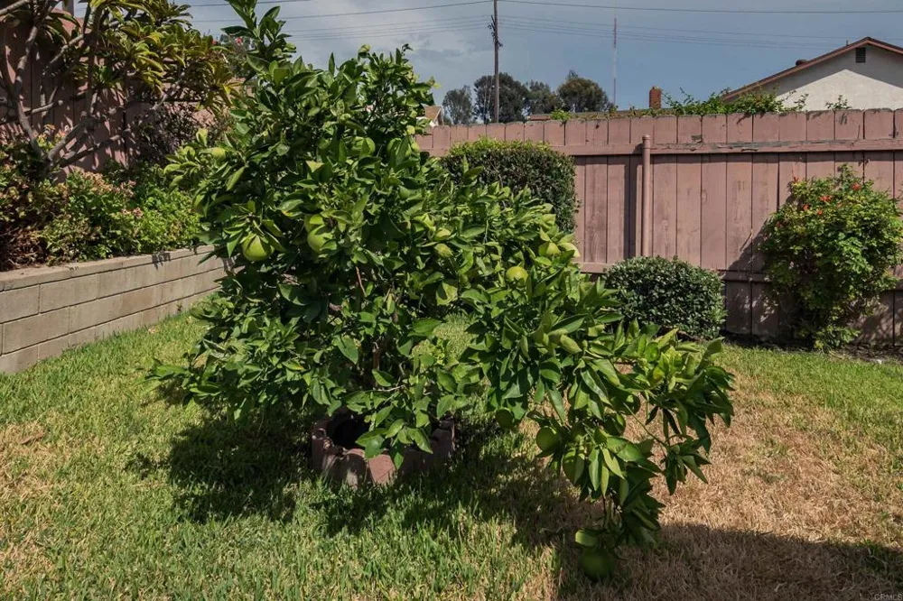 4966 Perkon Place San Diego, CA 92105