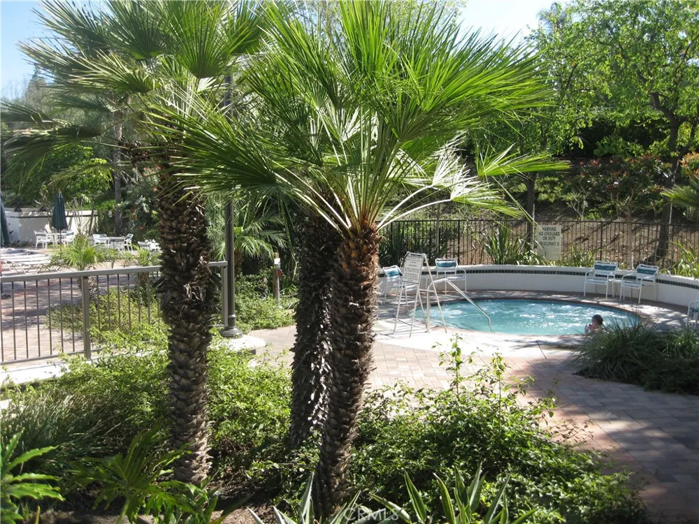 28511 Rancho Grande Laguna Niguel, CA 92677