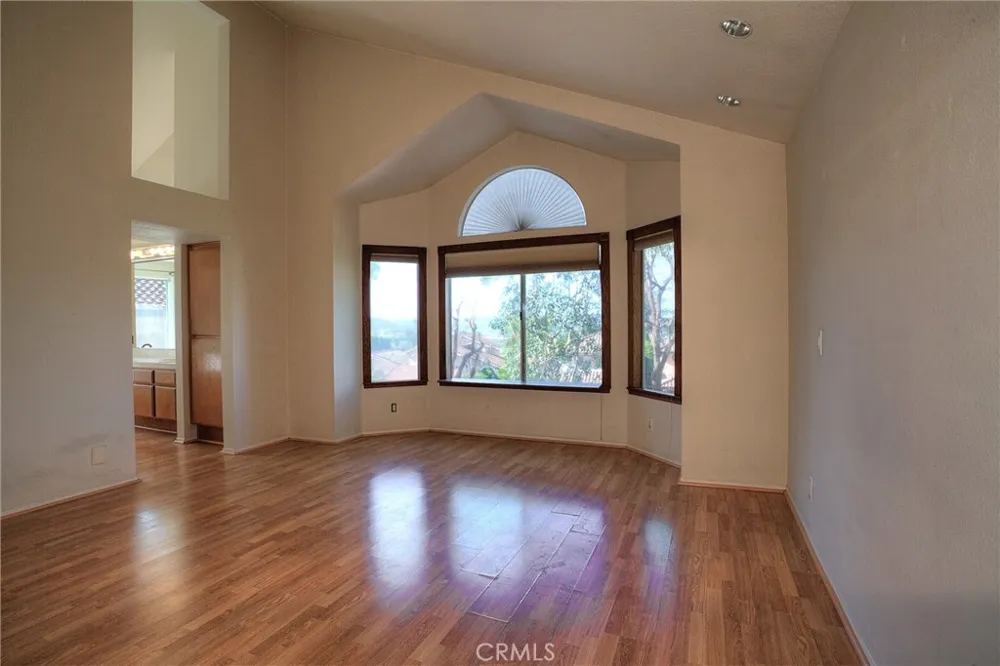 28511 Rancho Grande Laguna Niguel, CA 92677