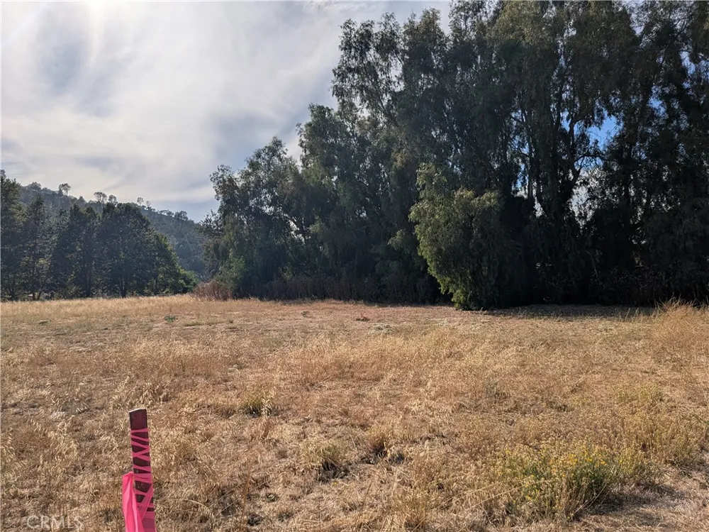 Sycamore Rd Atascadero, CA 93422