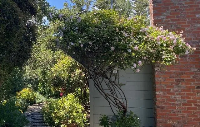 25349 Flanders Drive Carmel, CA 93923