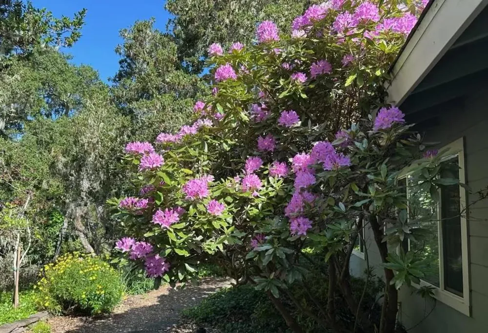 25349 Flanders Drive Carmel, CA 93923