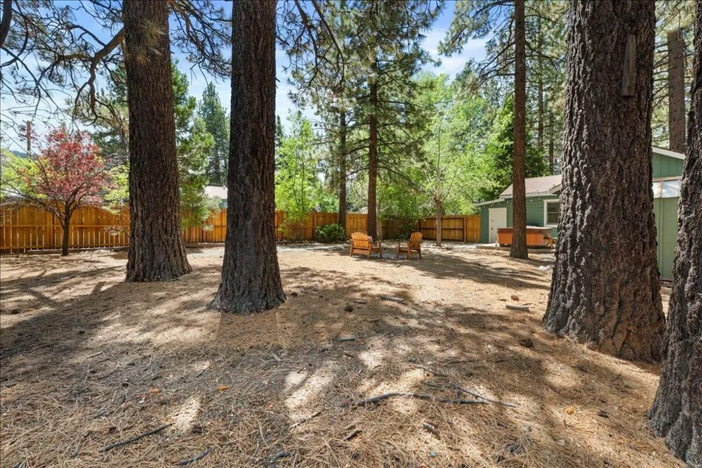 447 Chickadee Drive Big Bear, CA 92315