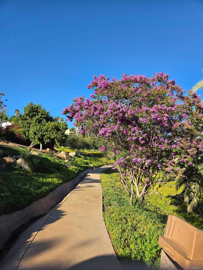 1679 Madrone Glen Escondido, CA 92027