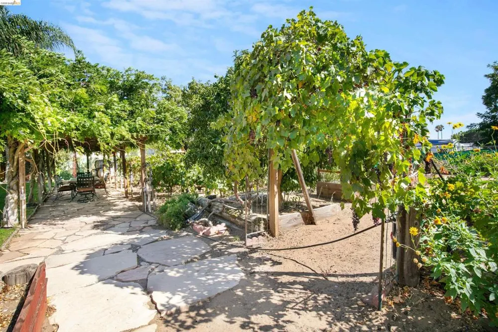 105 W Bolton Rd Oakley, CA 94561