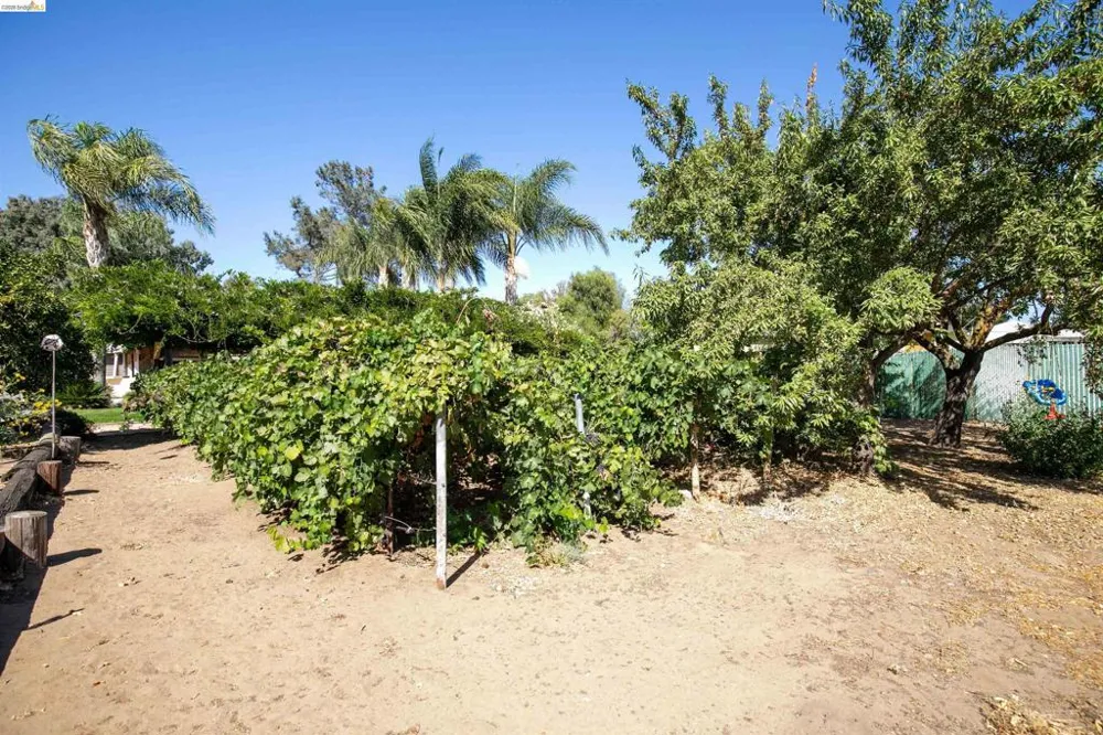 105 W Bolton Rd Oakley, CA 94561