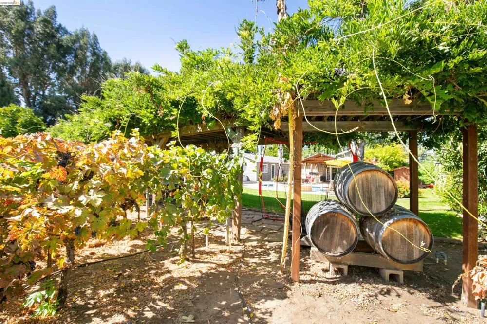 105 W Bolton Rd Oakley, CA 94561