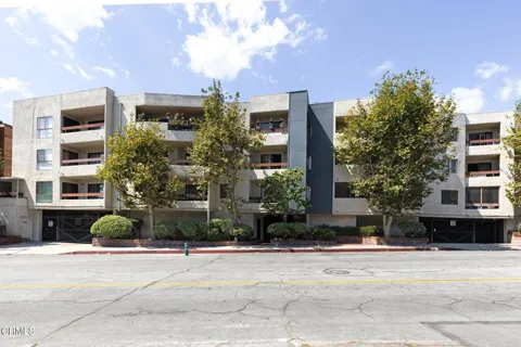 1037 Vista Street #202