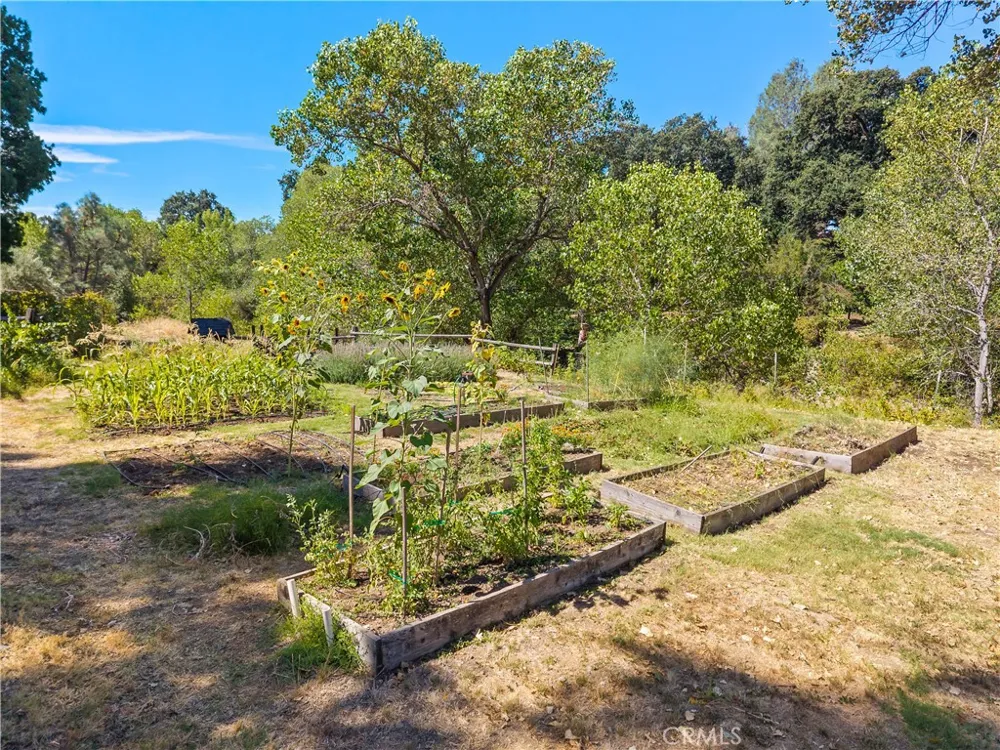 6733 Live Oak Drive Kelseyville, CA 95451