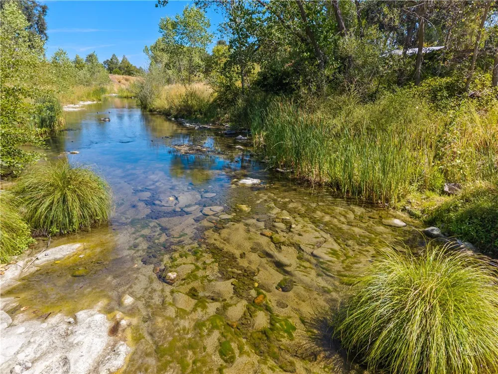 6733 Live Oak Drive Kelseyville, CA 95451