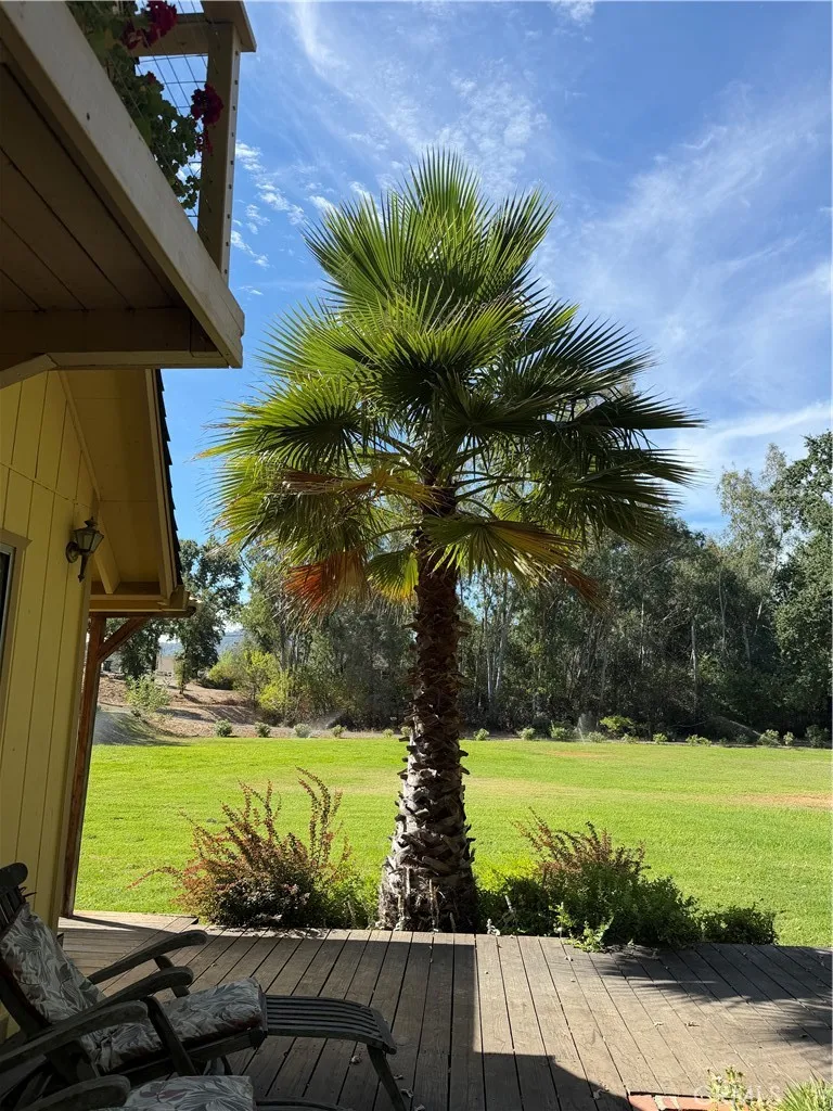 6733 Live Oak Drive Kelseyville, CA 95451