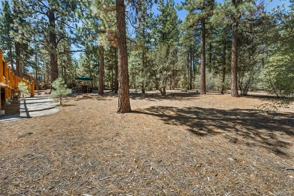 613 Cedar Glen Drive Big Bear, CA 92314