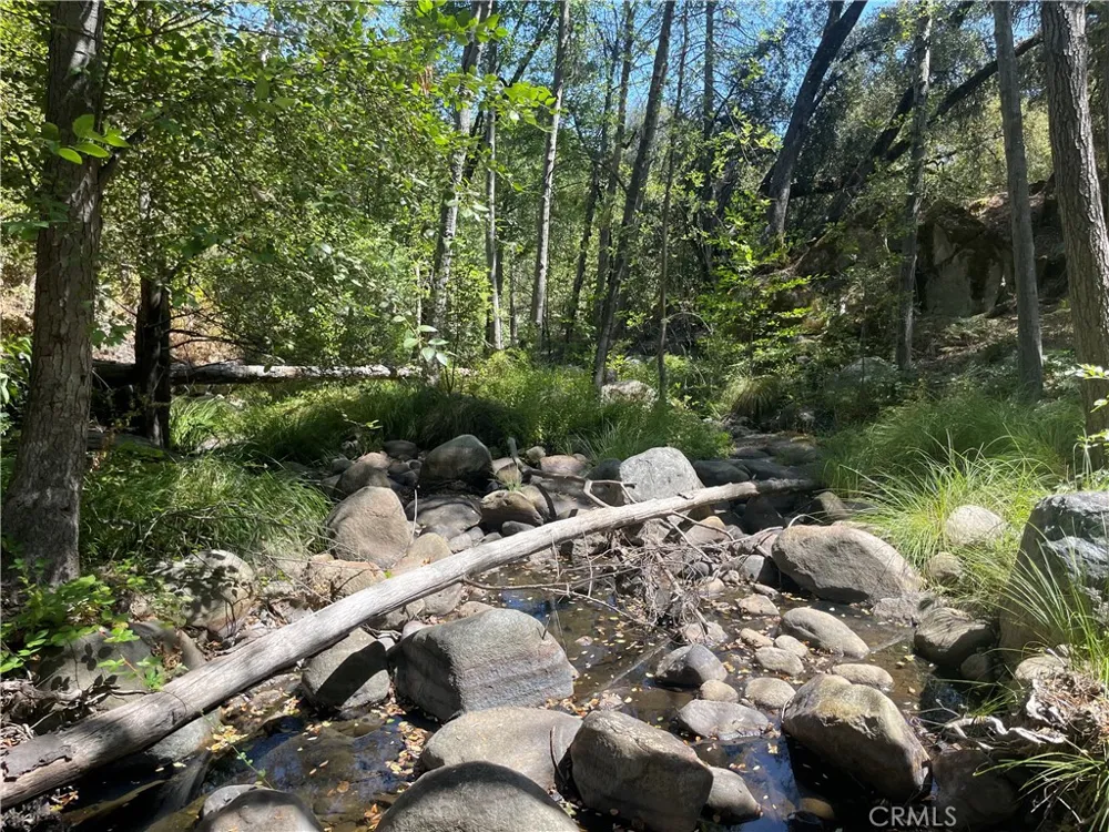 5601 Red Ibis Court Mariposa, CA 95338