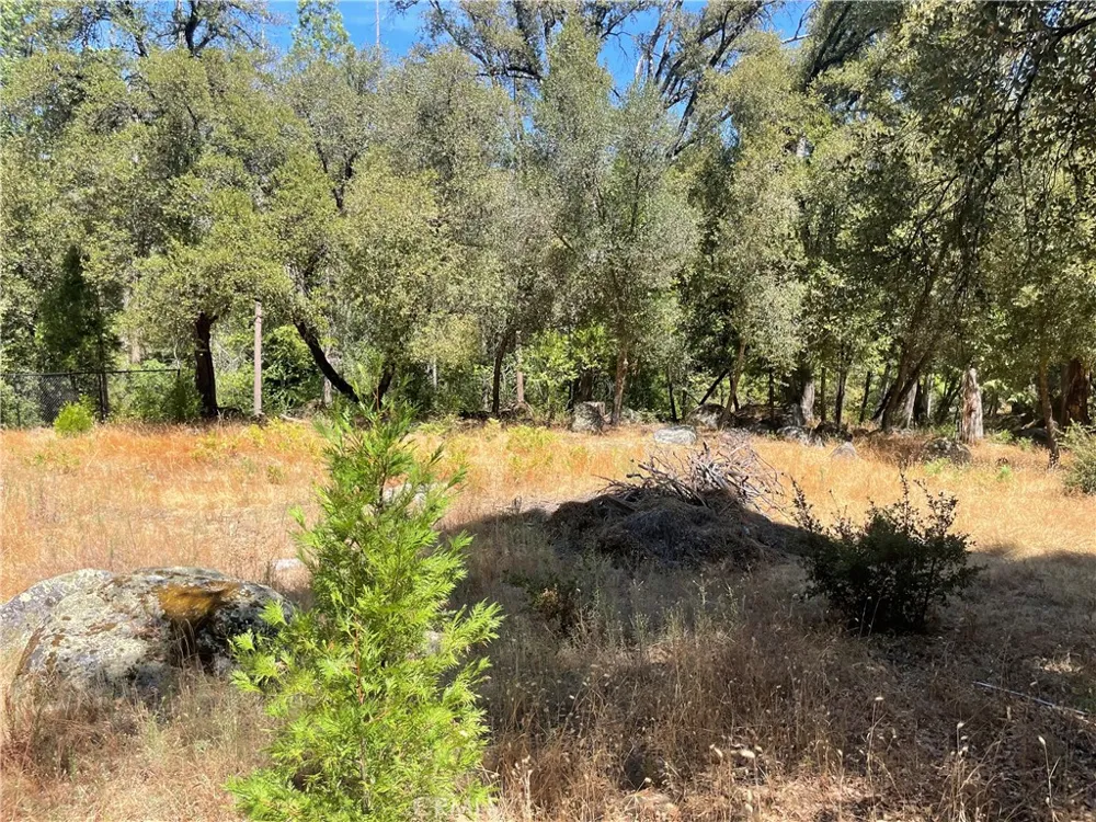 5601 Red Ibis Court Mariposa, CA 95338