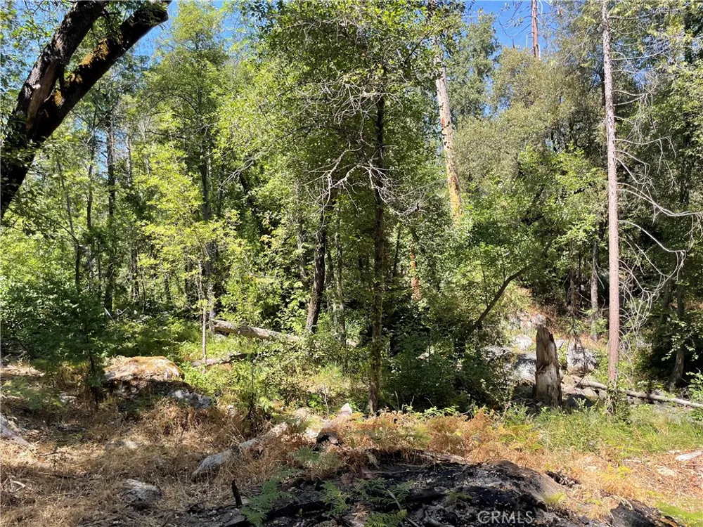 5601 Red Ibis Court Mariposa, CA 95338