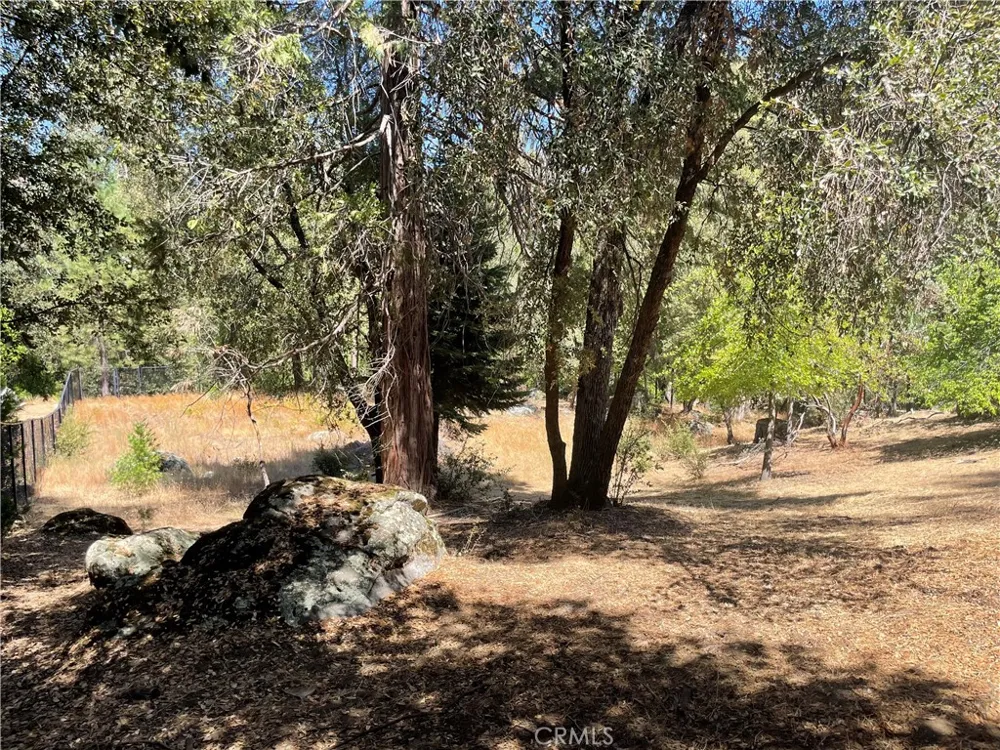 5601 Red Ibis Court Mariposa, CA 95338