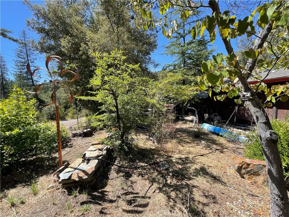 5601 Red Ibis Court Mariposa, CA 95338