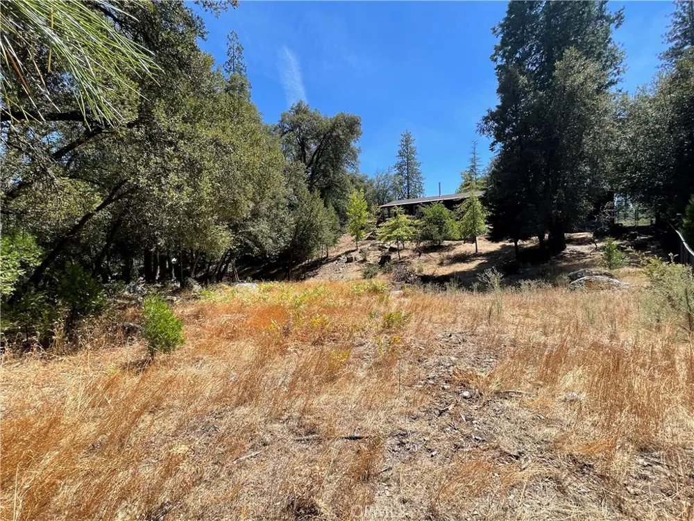 5601 Red Ibis Court Mariposa, CA 95338