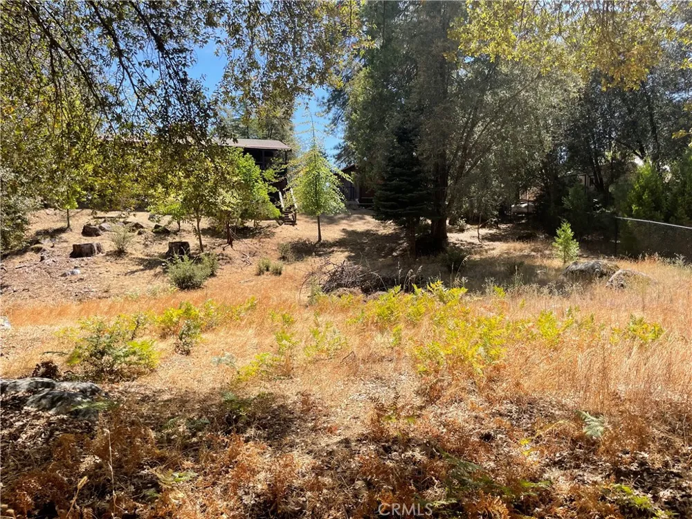 5601 Red Ibis Court Mariposa, CA 95338