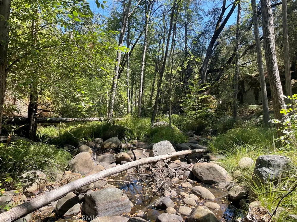 5601 Red Ibis Court Mariposa, CA 95338