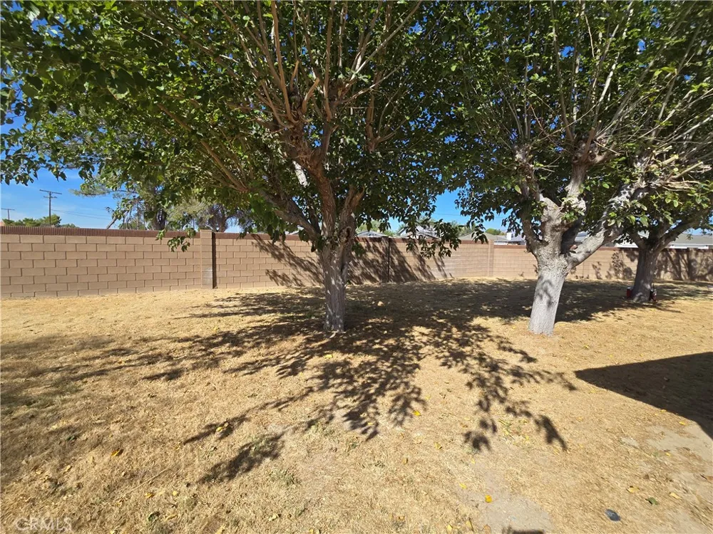21135 Bancroft Court California City, CA 93505