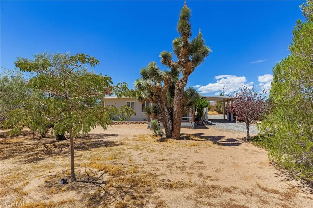56713 Lowe Yucca Valley, CA 92284