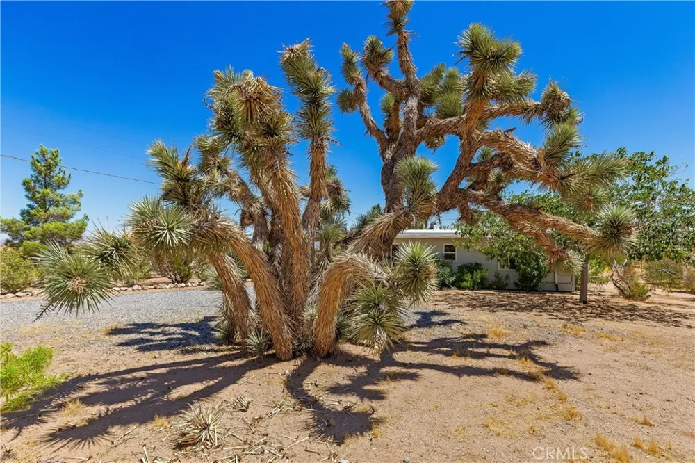 56713 Lowe Yucca Valley, CA 92284