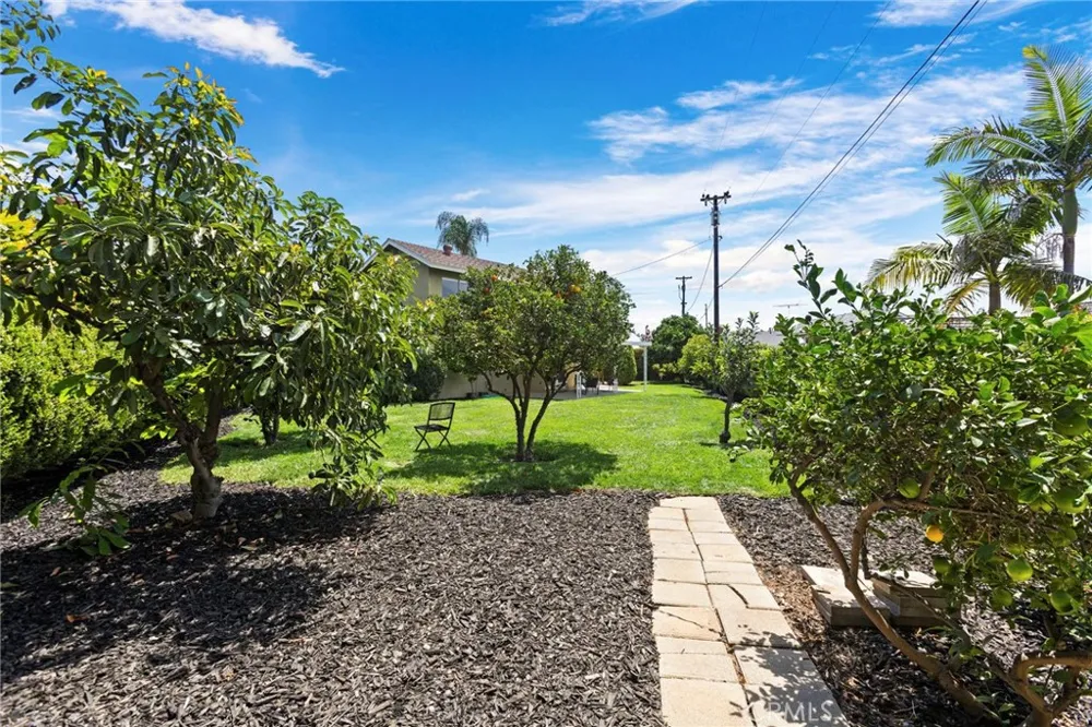 545 Cycod Place Brea, CA 92821
