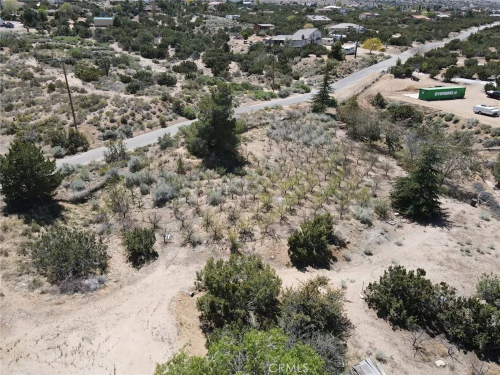 3010 Silver Ridge Drive Pinon Hills, CA 92372
