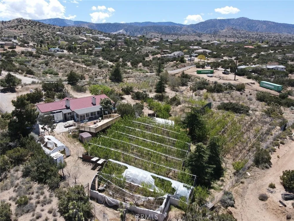 3010 Silver Ridge Drive Pinon Hills, CA 92372