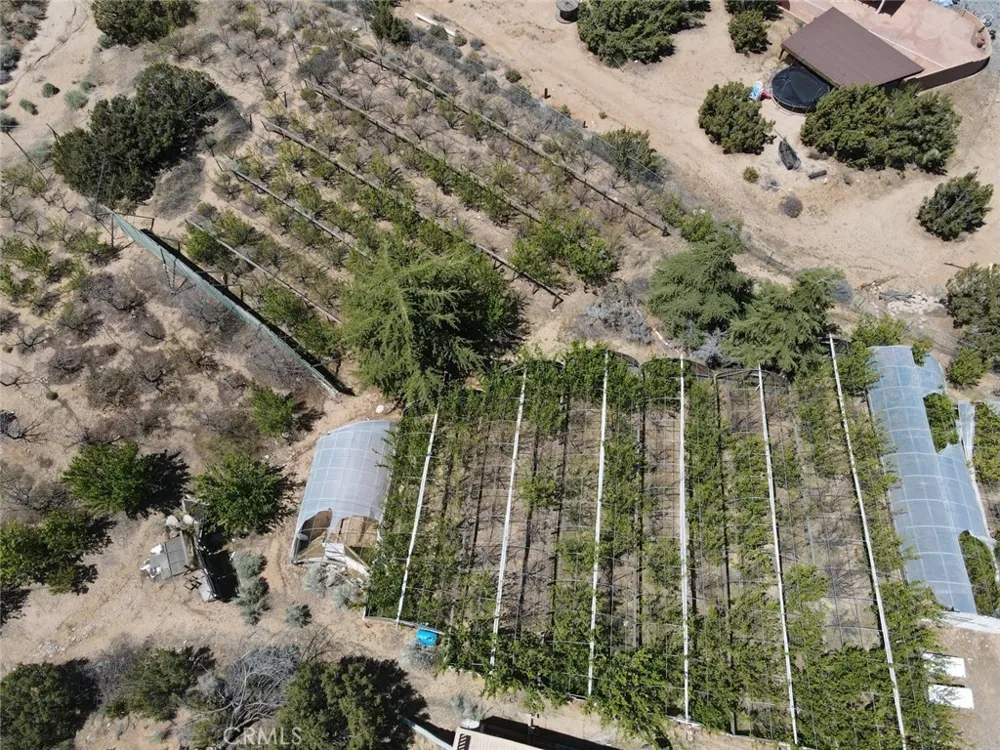 3010 Silver Ridge Drive Pinon Hills, CA 92372