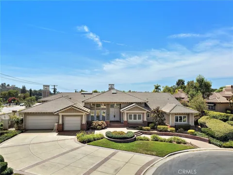 1582 White Alder