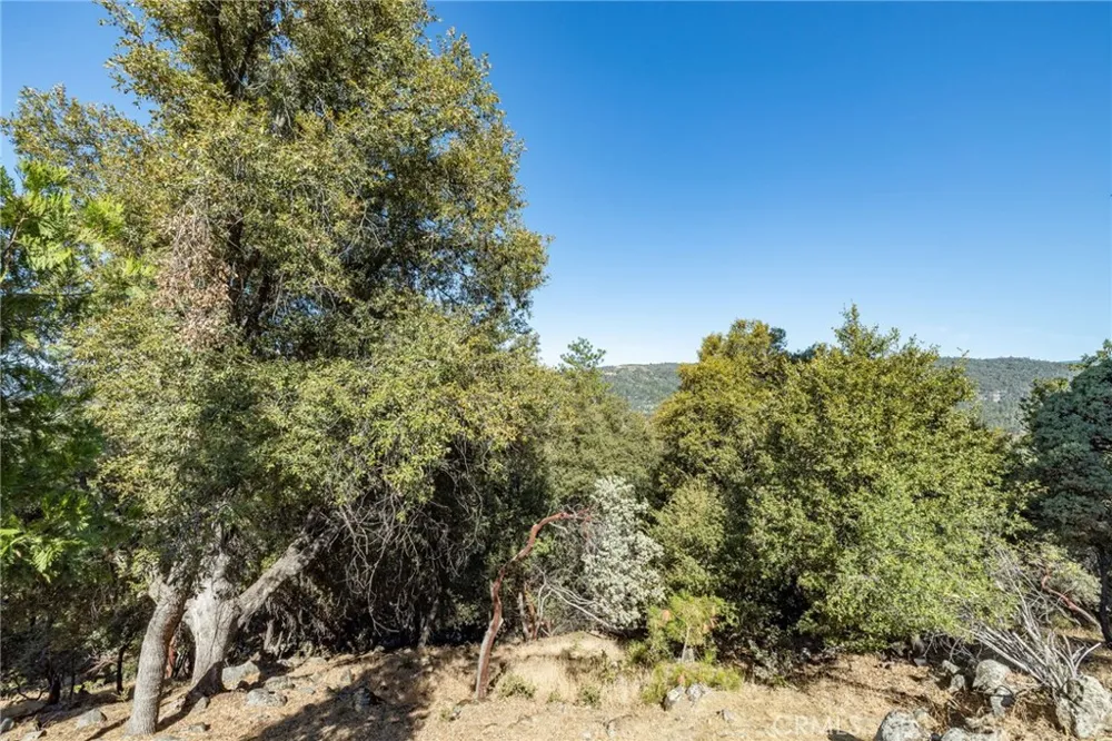 51300 Buckskin Oakhurst, CA 93644