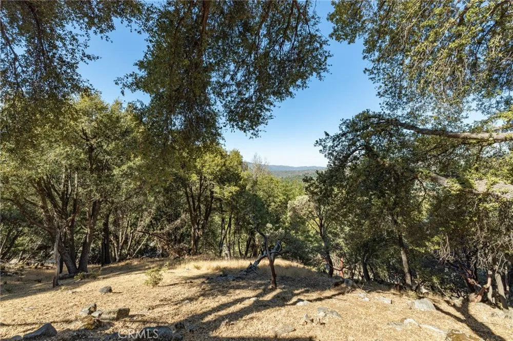 51300 Buckskin Oakhurst, CA 93644
