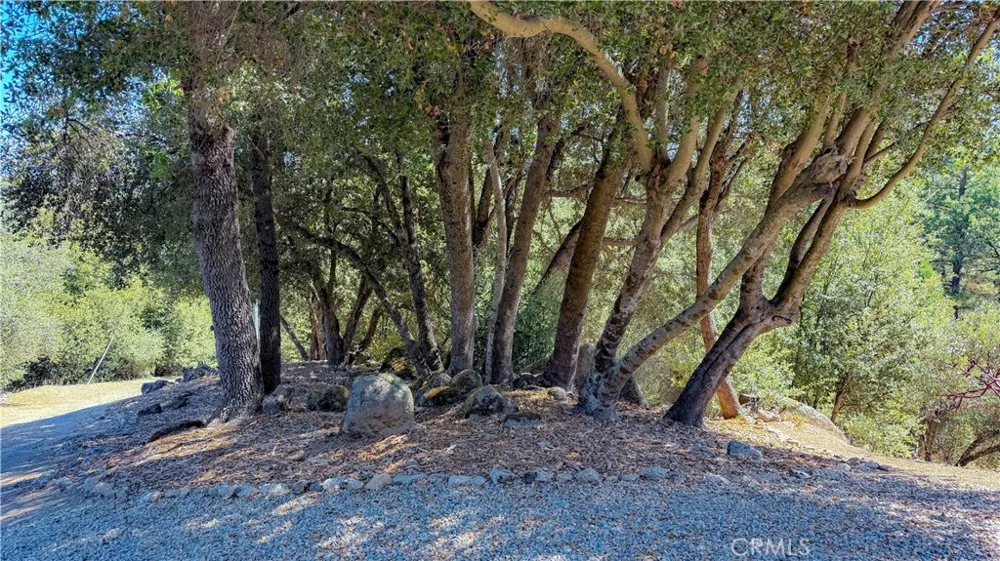 38393 Crestview Lane Oakhurst, CA 93644